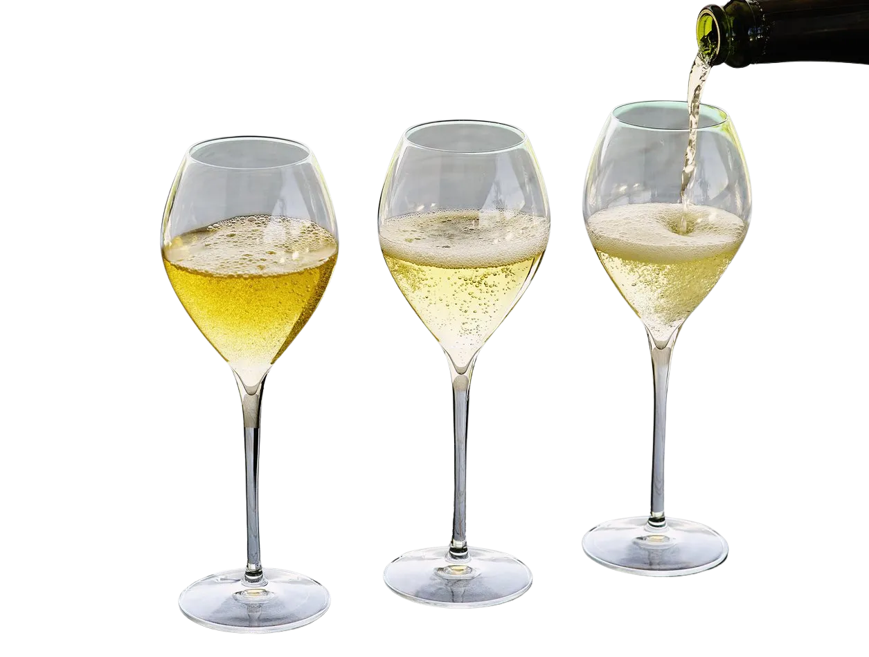 Diagrama del proceso de elaboración del cava